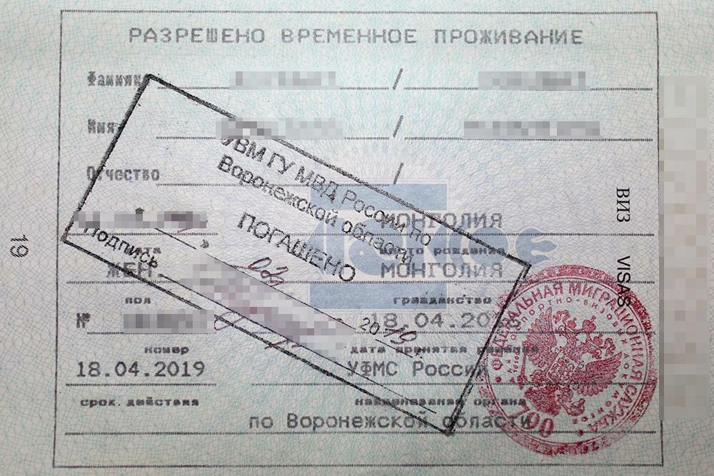 Как получить разрешение на временное проживание в России