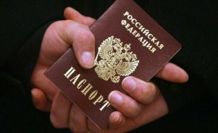 Гражданство РФ после вида на жительство: как получить гражданство РФ после ВНЖ